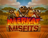 Meerkat Misfits